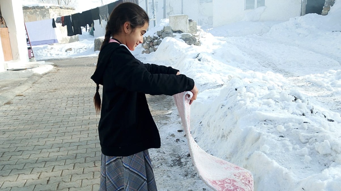 Yaşam Becerileri Projesi